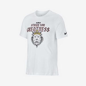 Футболка Nike LBJ Strive For Greatness Tee купить