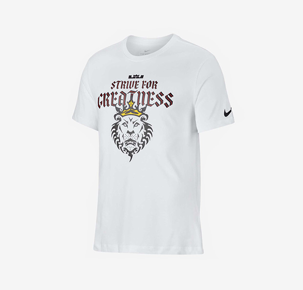 Футболка Nike LBJ Strive For Greatness Tee CD1320-100 1 Футболка Nike LBJ Strive For Greatness Tee купить