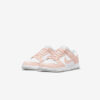 Кроссовки W Nike Dunk Low Retro Next Nature DD1873-100 женские