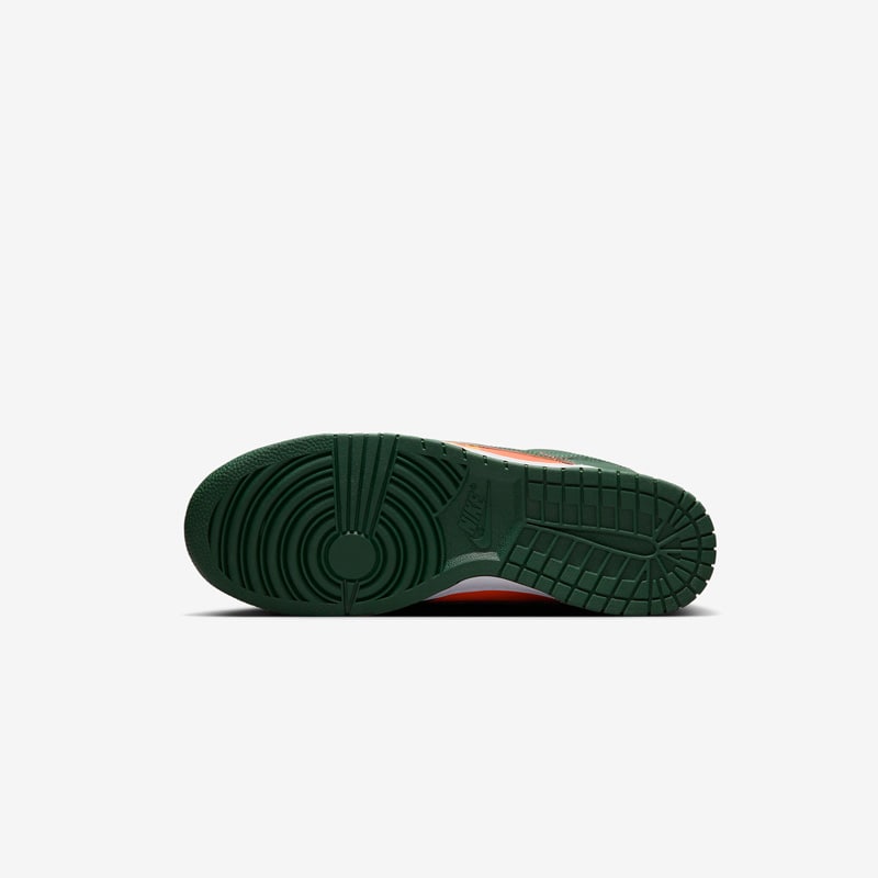 Кросівки Nike Dunk Low Retro DD1391-300 6 Кросівки Nike Dunk Low Retro DD1391-300