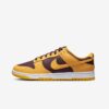 Кроссовки Nike Dunk Low Retro DD1391-702