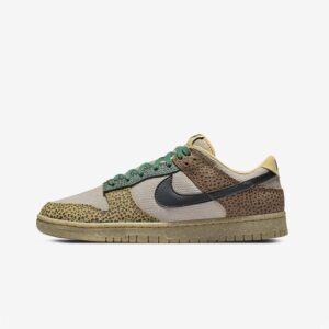 Кросівки Nike Dunk Low DX2654-200