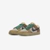 Кросівки Nike Dunk Low DX2654-200