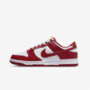 Кроссовки Nike Dunk Low Retro DD1391-602