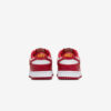 Кроссовки Nike Dunk Low Retro DD1391-602