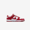 Кроссовки Nike Dunk Low Retro DD1391-602