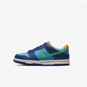 Детские Nike Dunk Low GS DV1693-401