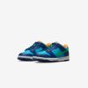 Детские Nike Dunk Low GS DV1693-401