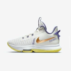 Кросівки Nike LeBron Witness V CQ9380-102