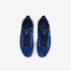 Кросівки Nike LeBron Witness V CQ9380-400