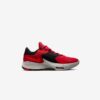 Кросівки Nike Zoom Freak 4 DJ6149-600