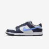 Кросівки Nike Dunk Low FN7800-400