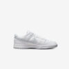 Кросівки Nike Dunk Low Retro DV0831-101