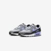 Кросівки Nike Air Max 90 DM0029-014