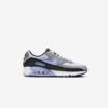 Кросівки Nike Air Max 90 DM0029-014