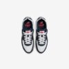 Кросівки Nike Air Max 90 DM0029-400