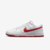 Кросівки Nike Dunk Low Retro DV0831-103