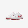 Кросівки Nike Dunk Low Retro DV0831-103