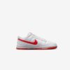 Кросівки Nike Dunk Low Retro DV0831-103