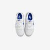 Кросівки Nike Dunk Low Retro DV0831-104