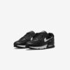 Кросівки W Nike Air Max 90 DH8010-002