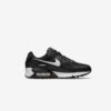 Кросівки W Nike Air Max 90 DH8010-002