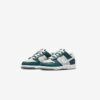 Кросівки Nike Dunk Low GS FB9109-300