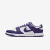 Кросівки Nike Dunk Low Retro DD1391-104