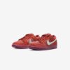 Кросівки Nike SB Dunk Low Pro DV5429-601