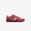 Кросівки Nike SB Dunk Low Pro DV5429-601