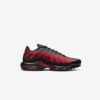 Кросівки Nike Air Max Plus DZ4507-600