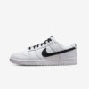 Кросівки Nike Dunk Low Retro DJ6188-101