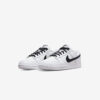 Кросівки Nike Dunk Low Retro DJ6188-101