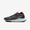 Кросівки Nike React Pegasus Trail 4 GTX DJ7926-302