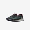 Кросівки Nike React Pegasus Trail 4 GTX DJ7926-302