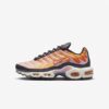 Кросівки W Nike Air Max Plus FB8478-001