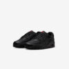 Кросівки Nike Air Max 90 DZ4504-003