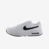 Кросівки Nike Air Max SC CW4555-102