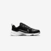 Кросівки Nike Defy All Day DJ1196-002
