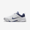 Кросівки Nike Defy All Day DJ1196-100