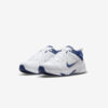Кросівки Nike Defy All Day DJ1196-100