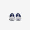 Кросівки Nike Defy All Day DJ1196-100