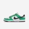 Кросівки Nike Dunk Low FN3612-300
