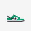 Кросівки Nike Dunk Low FN3612-300