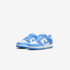 Кросівки Nike Dunk Low GS CW1590-103