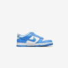 Кросівки Nike Dunk Low GS CW1590-103
