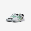 Кросівки Nike Zoom Freak 4 DJ6149-100