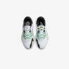 Кросівки Nike Zoom Freak 4 DJ6149-100