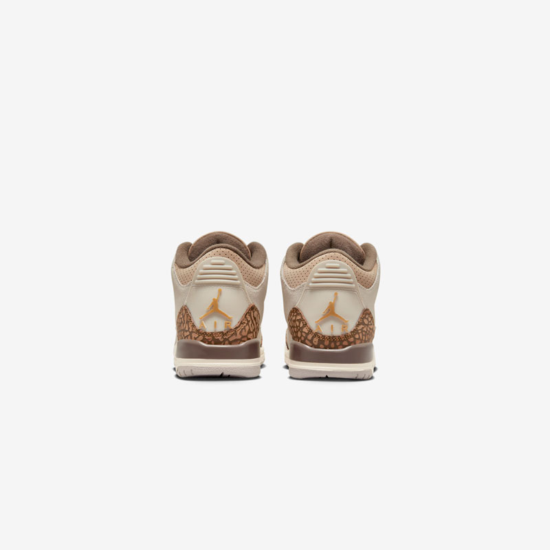 Кросівки Air Jordan 3 Retro GS DM0967-102 4 Кросівки Air Jordan 3 Retro GS DM0967-102