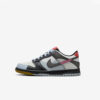 Кросівки Nike Dunk Low SE GS FJ2686-100